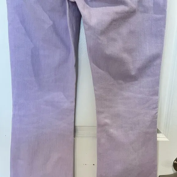 Ag Adriano Goldschmied The Angel Low Rise Boot Cut Flare Jeans Sz 30 (10) Lilac