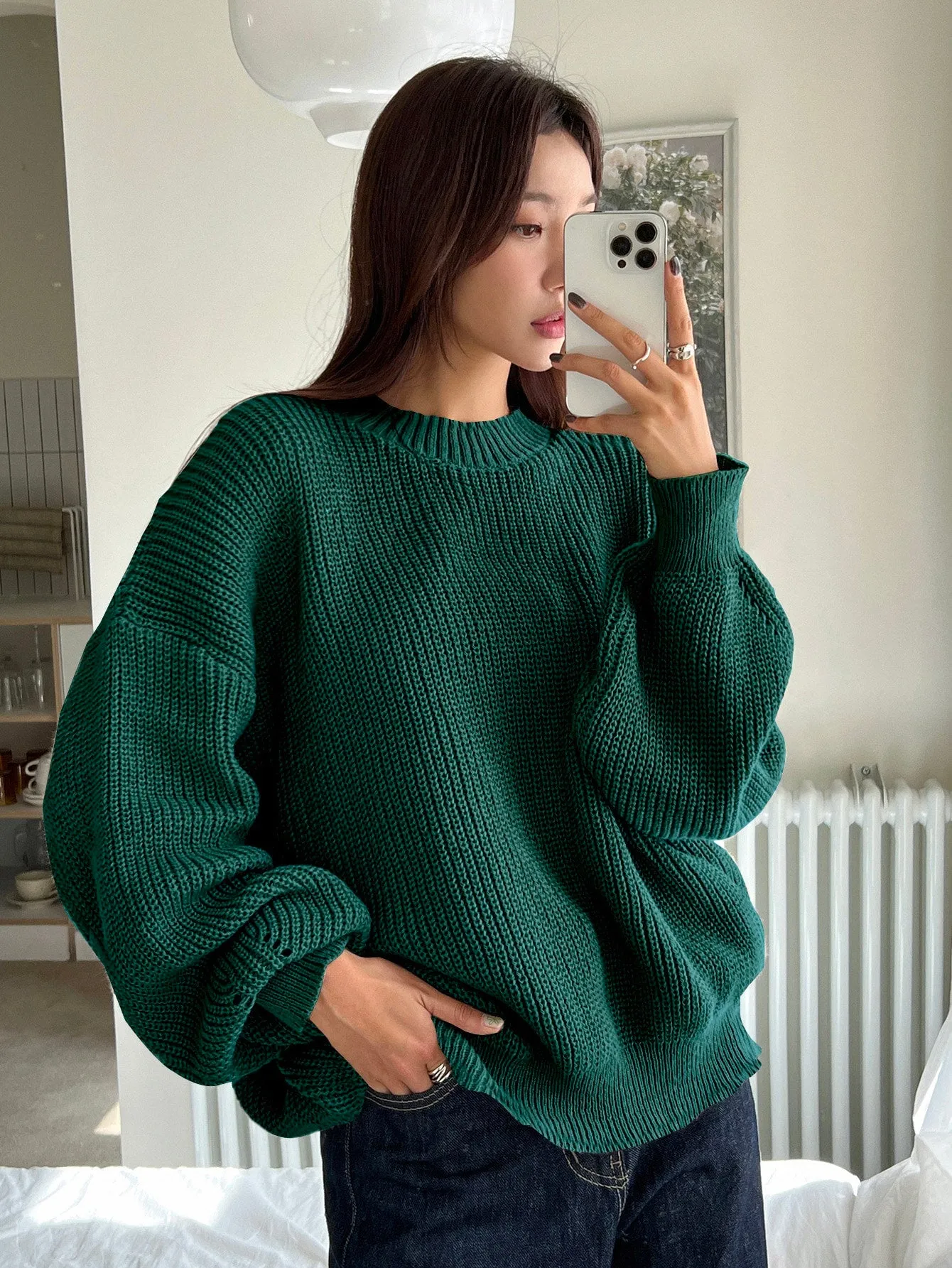 DAZY Women Solid Color Crew Neck Long Sleeve Casual Pullover Sweater