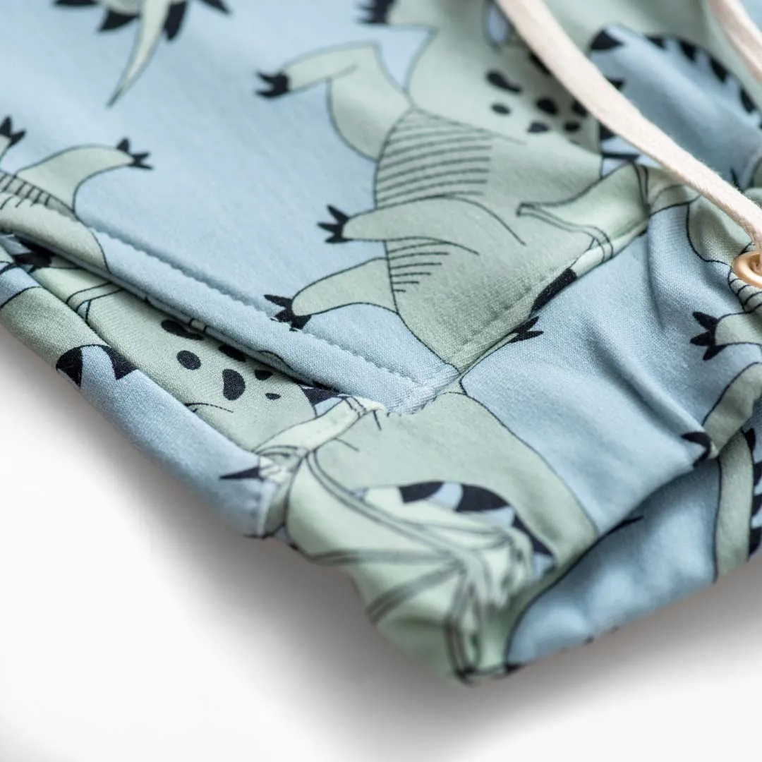 Dragon Blue Joggers - LAST ONE 1-2 years