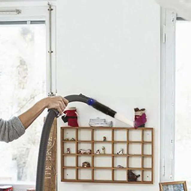 Dust Pro Brush